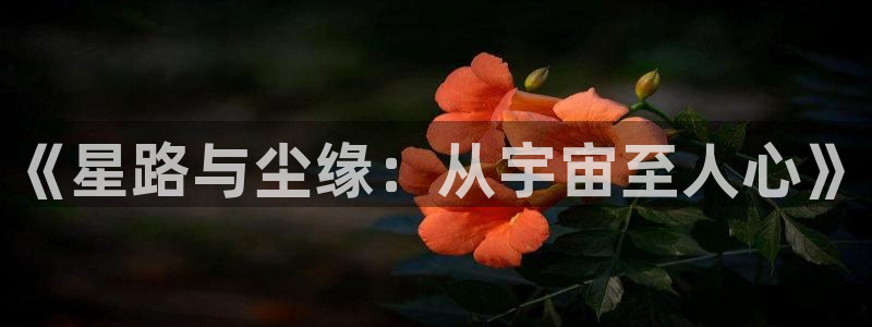 久久久久小说网：《星路与尘缘：从宇宙至人心》
