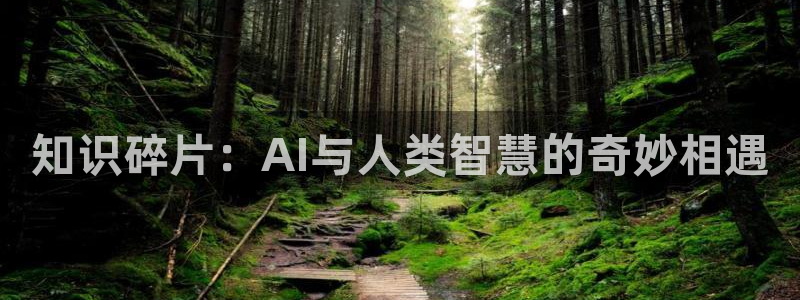 国产精品久久久久久久久小说：知识碎片：AI与人类智慧的奇妙相遇