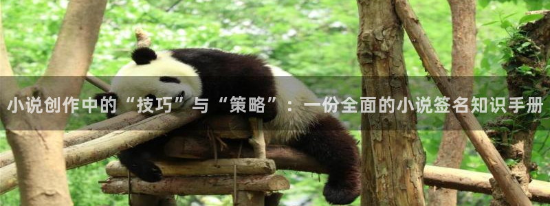 久久小说下载txt全本：小说创作中的“技巧”与“策略”：一份全面的小说签名知识手册