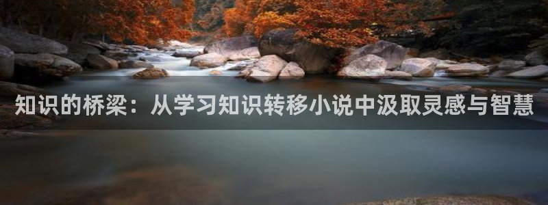 色综合小说综合站久久小说：知识的桥梁：从学习知识转移小说中汲取灵感与智慧