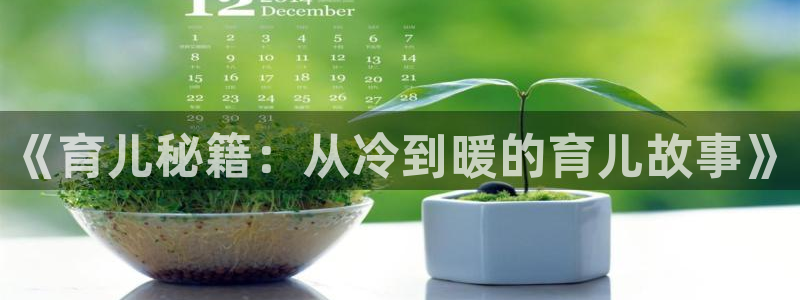 久久久久小说网：《育儿秘籍：从冷到暖的育儿故事》